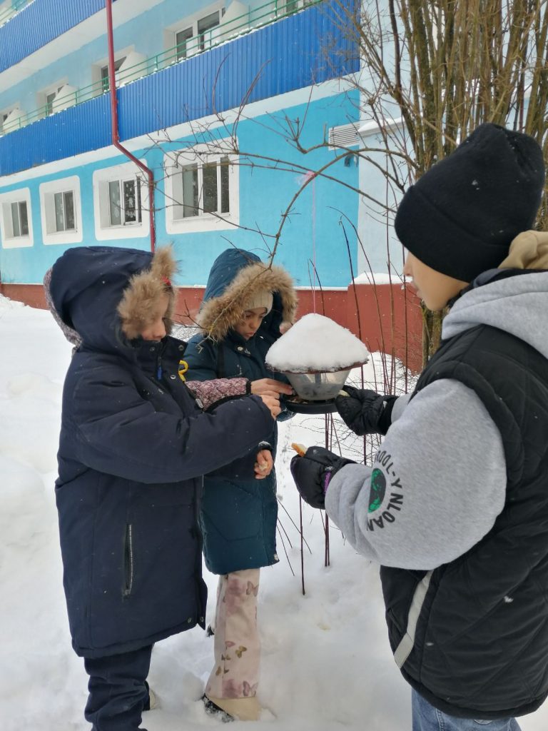 изображение_viber_2026-02-15_08-29-30-528