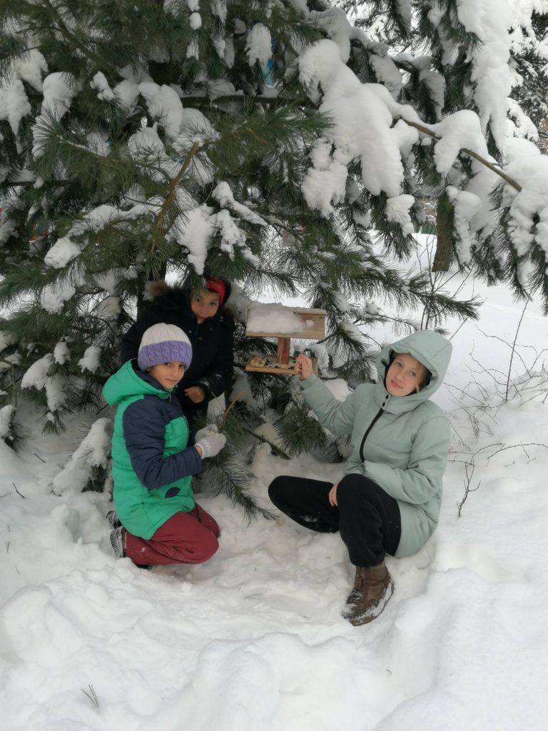 изображение_viber_2026-02-15_08-29-53-013