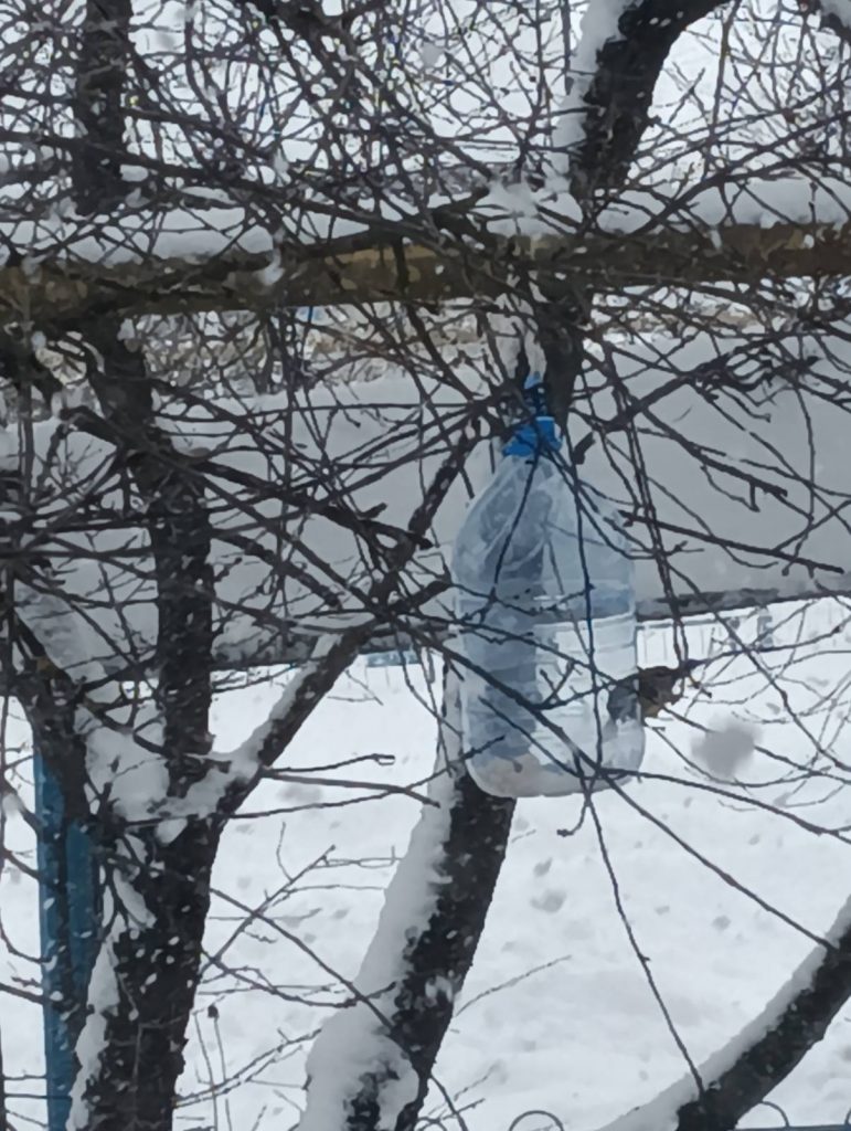 изображение_viber_2026-02-15_08-30-09-338