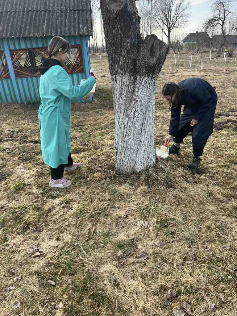 изображение_viber_2026-03-25_09-27-44-395