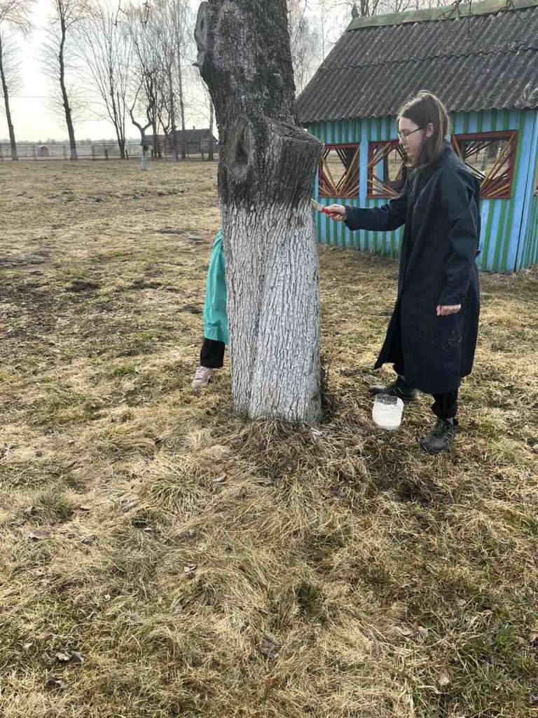 изображение_viber_2026-03-25_09-27-44-720